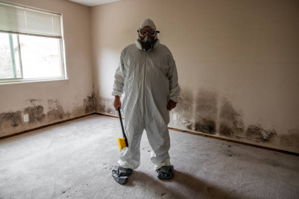 Best Residential Mold Remediation in Inverness Highlands South, FL